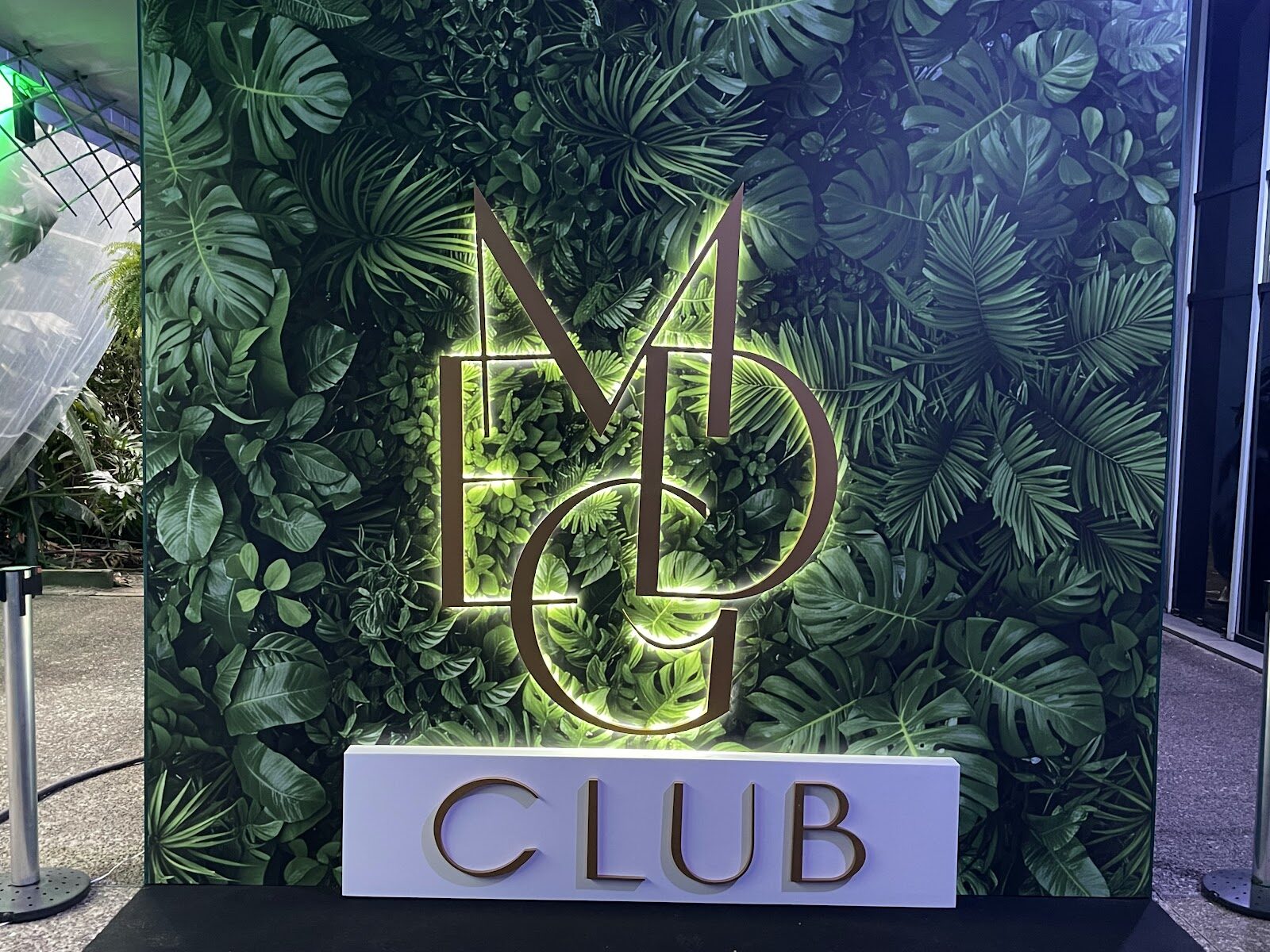 Backdrop cenográfico iluminado com folhagem tropical e logotipo em evento corporativo
